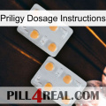 Priligy Dosage Instructions 25